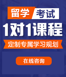 把大鸡巴操进阴道里国产视频留学考试一对一精品课